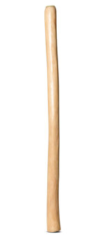 Medium Size Natural Finish Didgeridoo (TW1362)